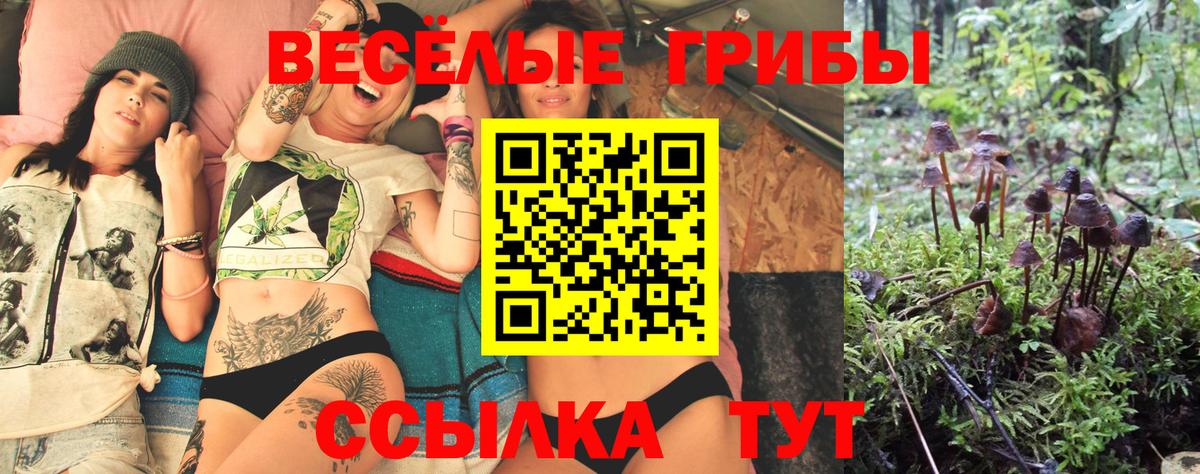 Галлюциногенные грибы ЛСД  Вход с VPN  Галлюциногенные грибы мухоморы  Азов 